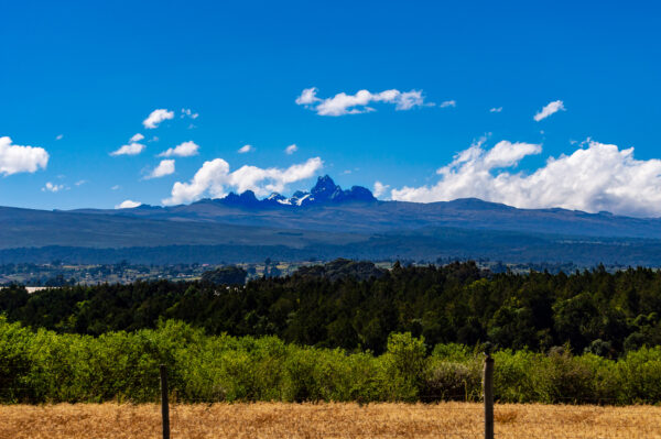 Efter at Uldum Højskoles tur til Kenya er slut, tager eleverne ofte videre til nye oplevelser - fx at bestige Mount Kenya.